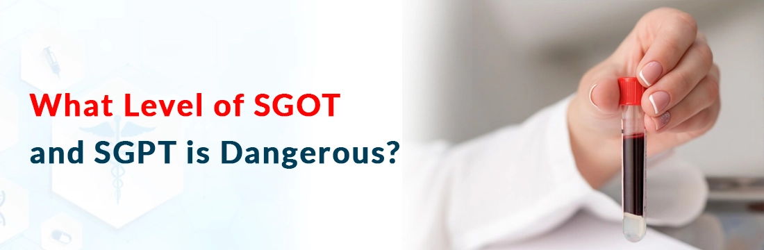  What Level of SGOT and SGPT is Dangerous?